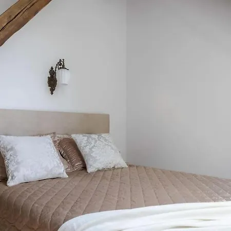 Domillion 2bdr At Historical Building Vs511b Vilnius